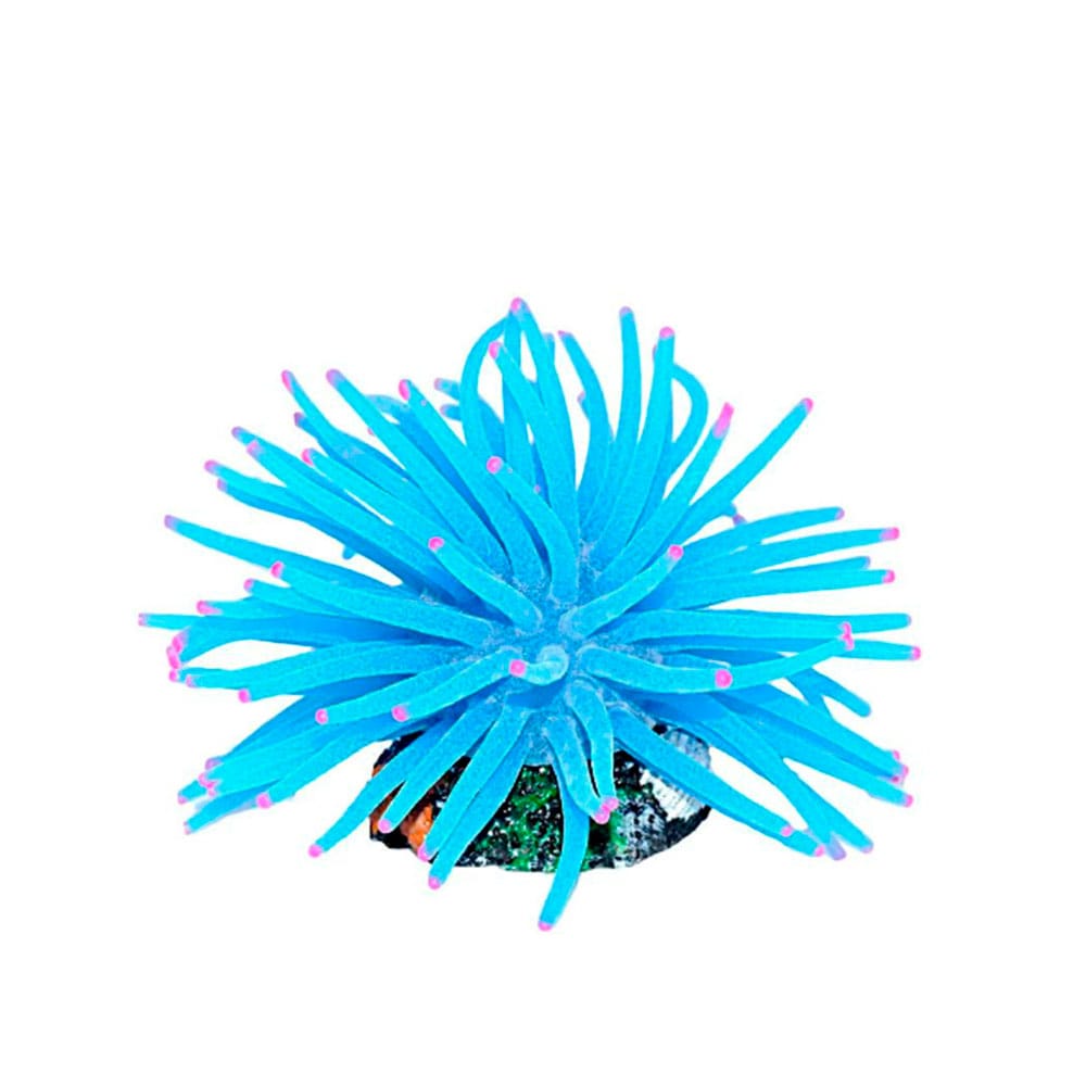 image_ecc5a546-5372-4761-badc-4bcc064daf3c