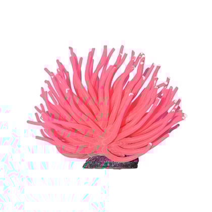 Product main image - 13b8d5ad-b059-43b8-b621-435b270dffba