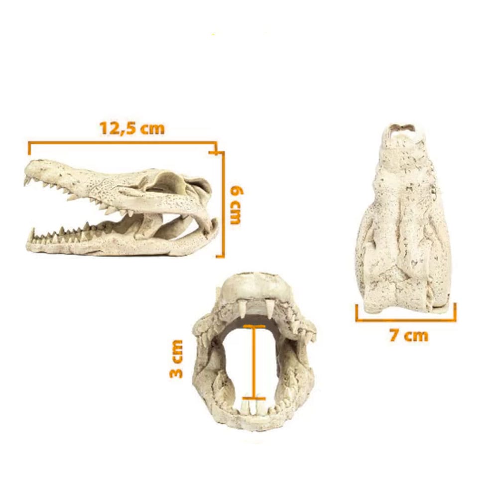 image_770e5dff-0049-479a-a4cc-2b028af9578c