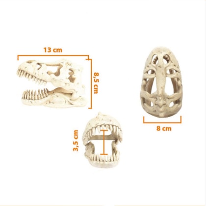 image_1352826f-01f2-47a8-88c7-b5f255cdf624