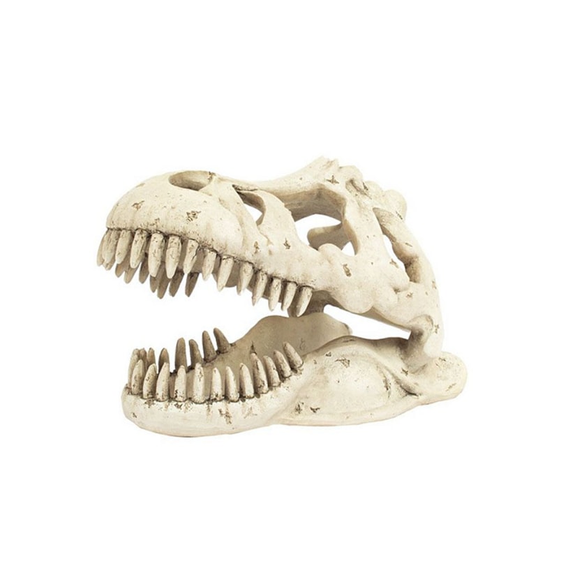 Product main image - 17e561a6-c6c2-4c4f-9f97-d4318875d940