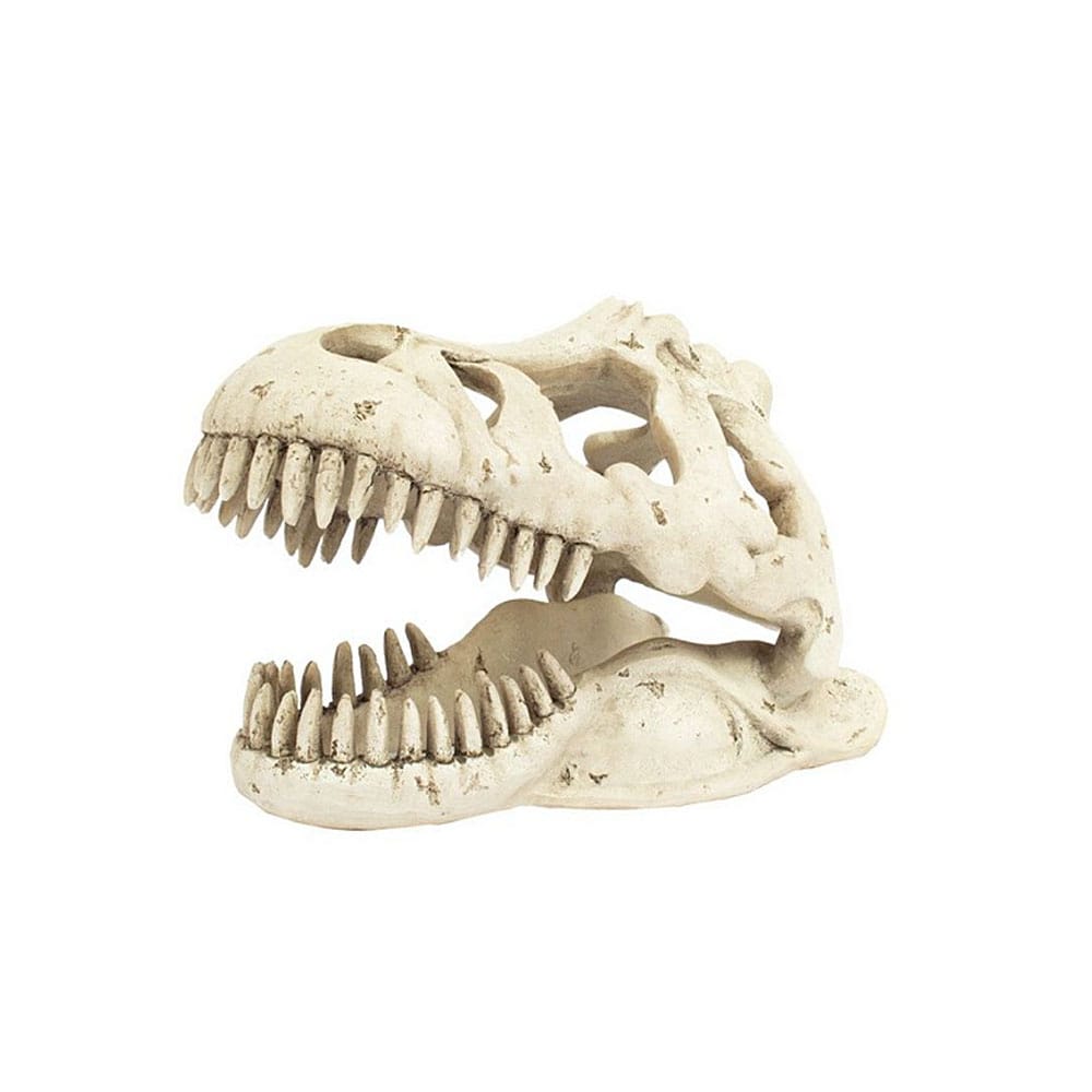 image_9cef7b08-36d6-4f2b-8b35-03bc829ae480