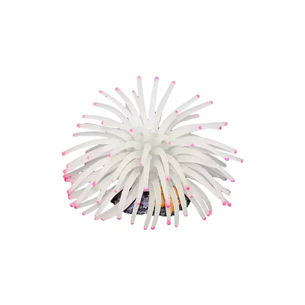 image_ca0bbd62-2d5f-4ca3-a0aa-0e8351524755