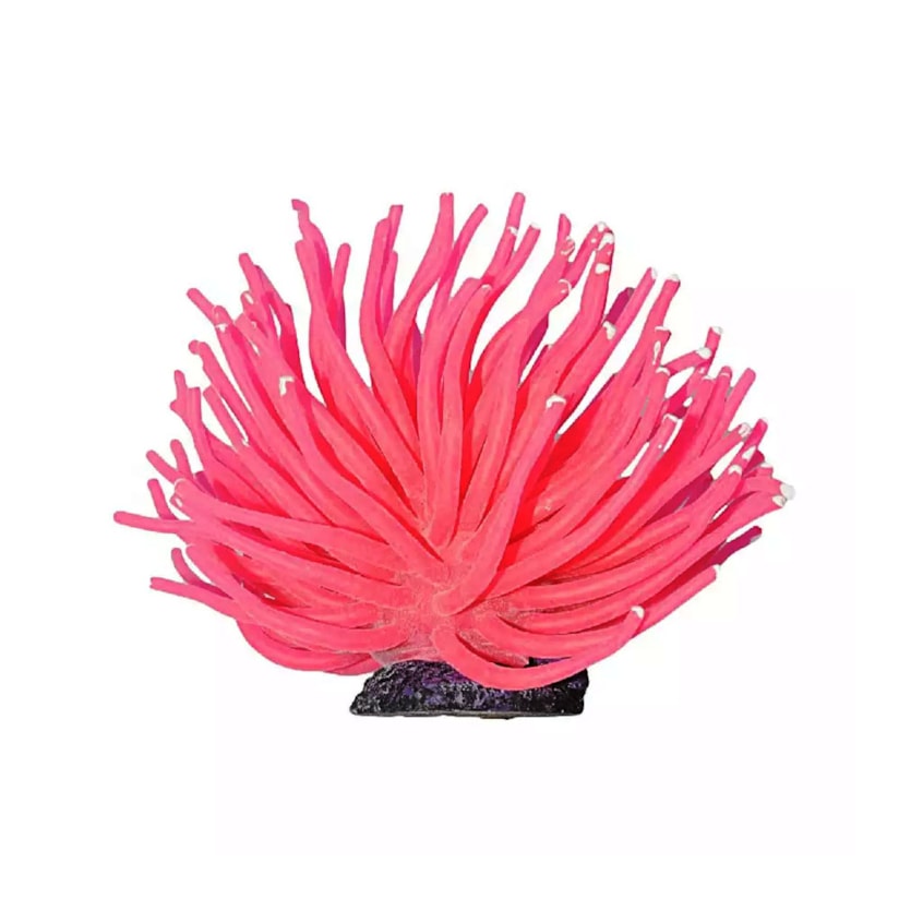 Product main image - 20ea78d1-dc40-4296-92b0-a78504ec9a98