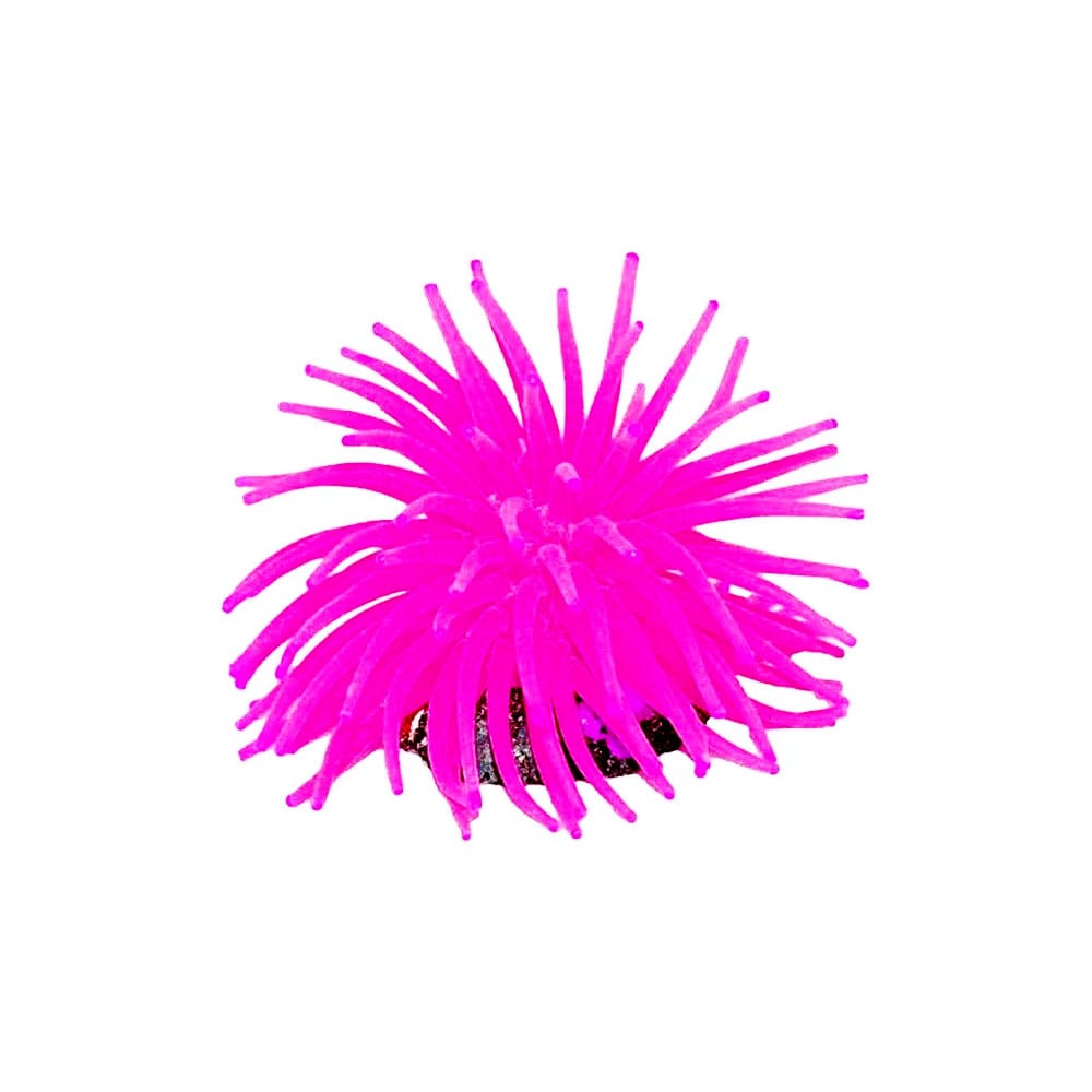 image_1c39d6c5-d227-473e-8b68-25a2e8079568