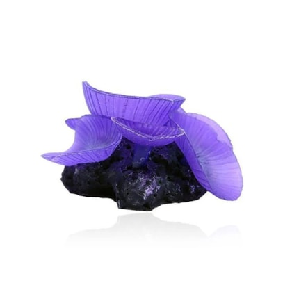 image_6937d010-5733-45b0-ba41-f6060846e812