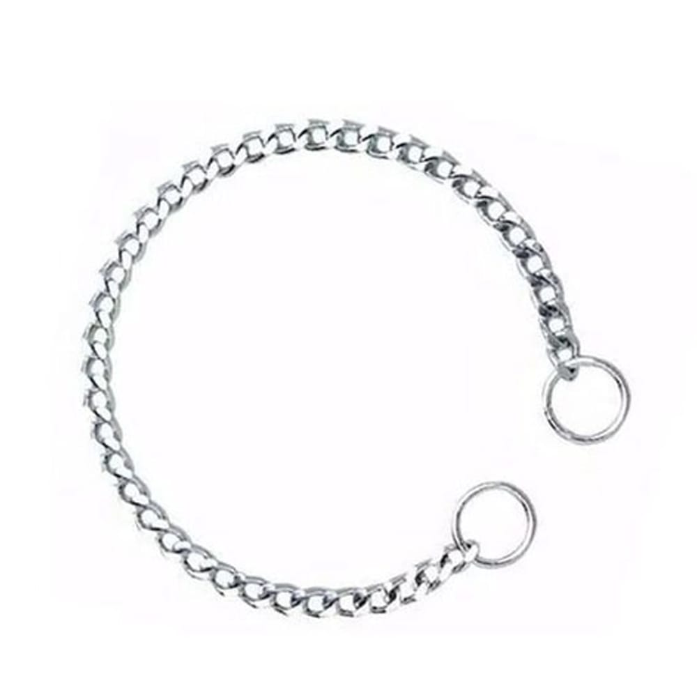 image_f1019d6c-05a7-49d5-b379-1610b401f230