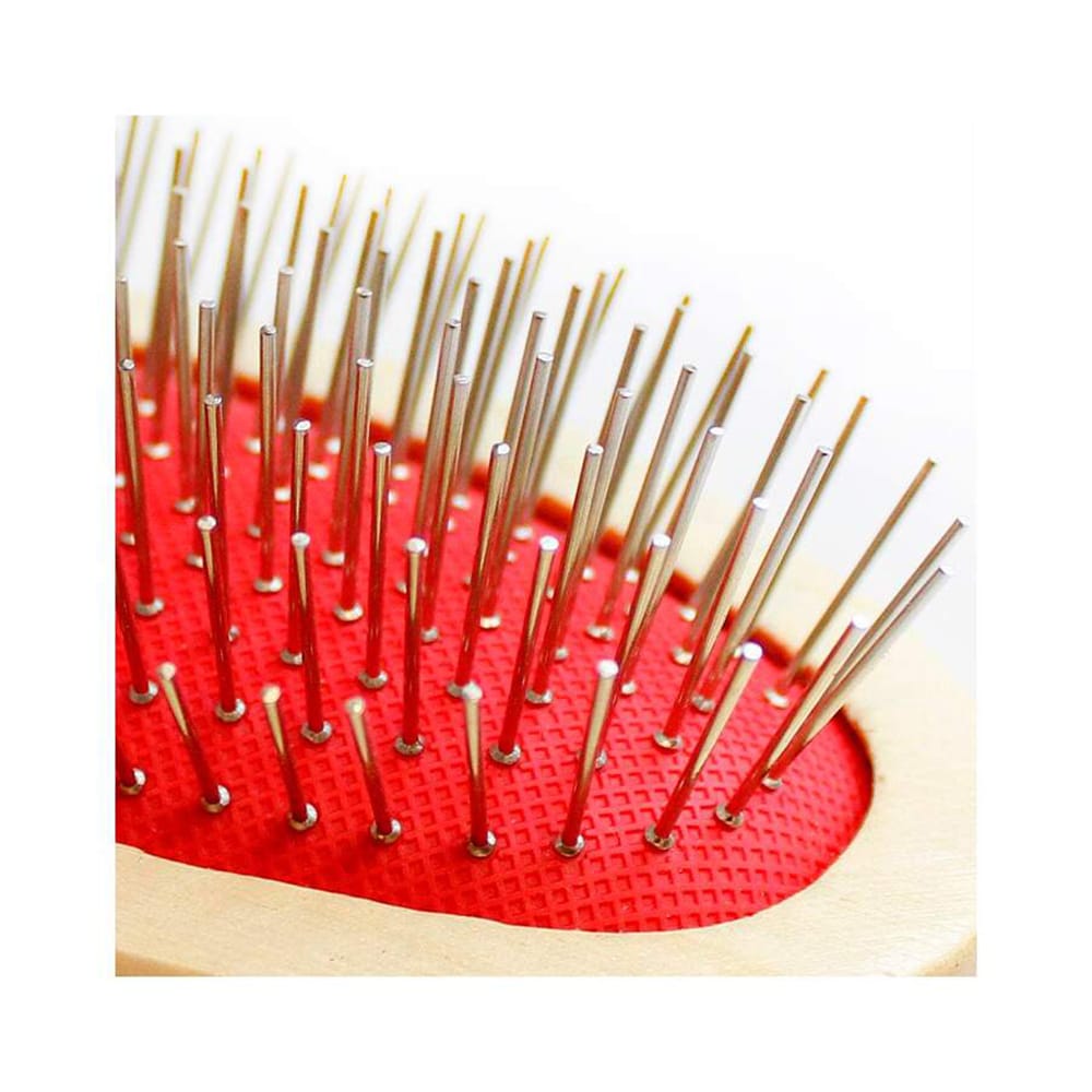 image_573fdb34-9574-4a6d-8a3c-76d7c160ba0b