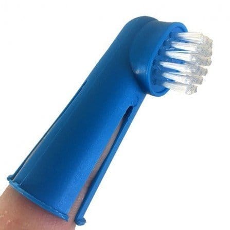 image_c4a16d77-8944-4075-bdd9-d9cf56f7224c