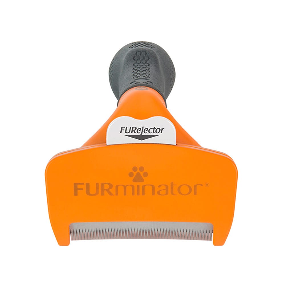 image_f9f52ae2-b8a8-4a74-a29f-ef5f1c025f73