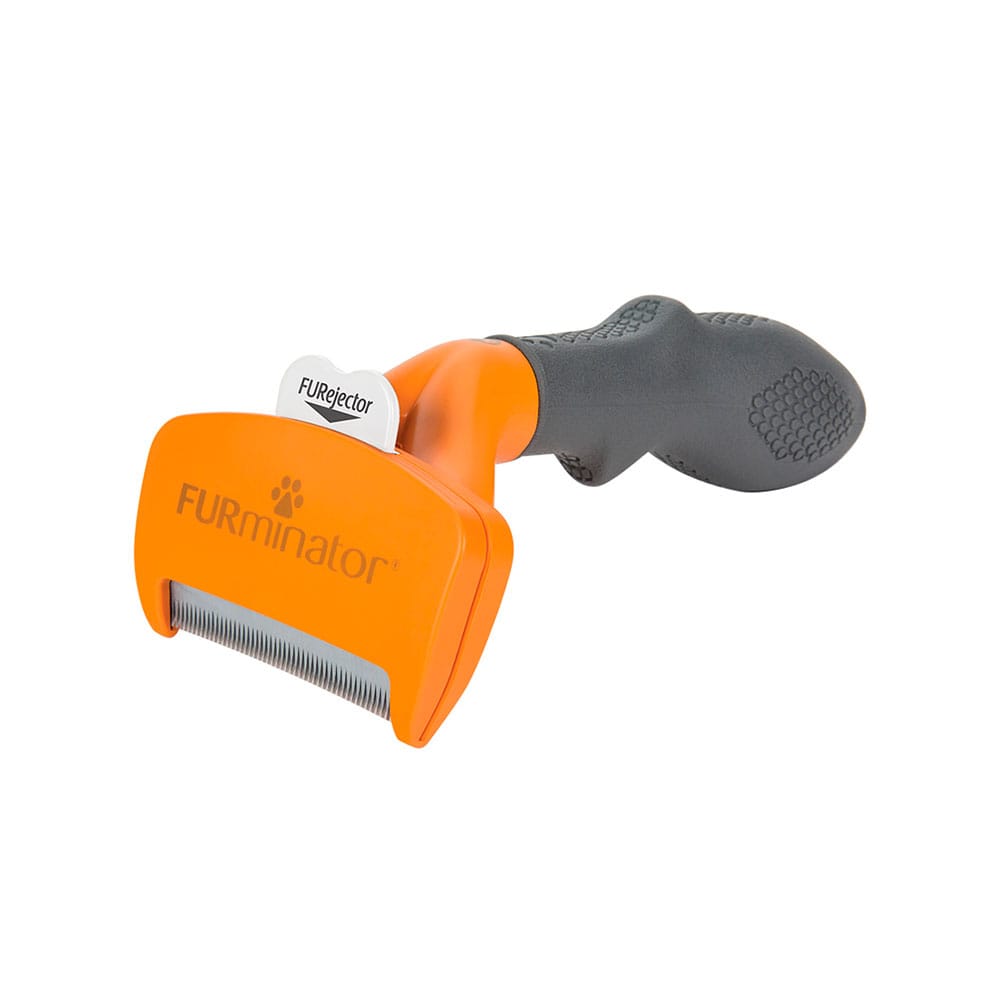 image_64674c06-2be9-4014-ba02-bb37480f3e51