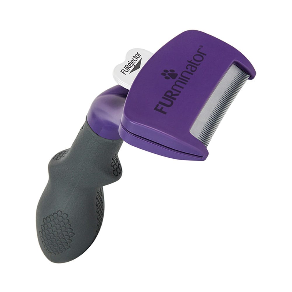 image_6dd86024-7863-48c3-ad84-787acd8e45fb