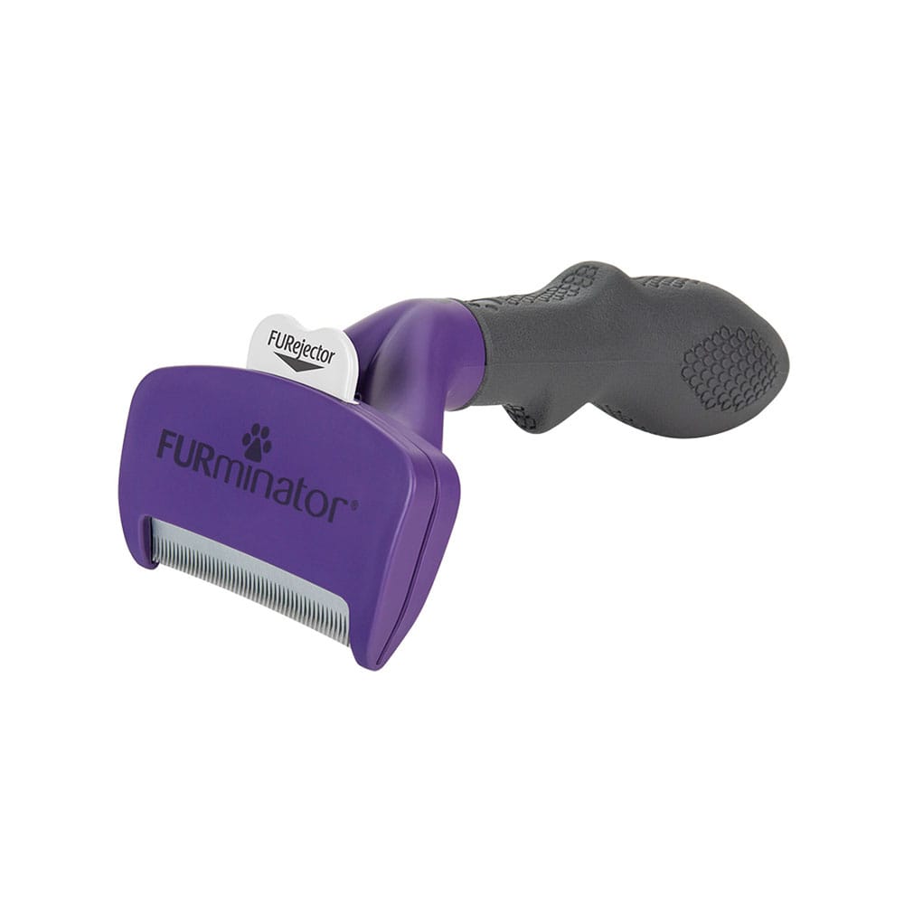 image_33b22157-e006-43f0-905b-a17f94dade6d