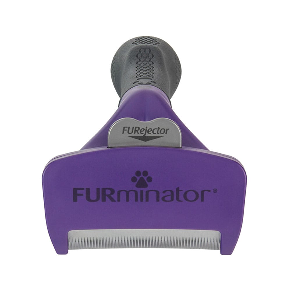 image_1c701469-3426-4d5a-b42f-ff66b27464fc