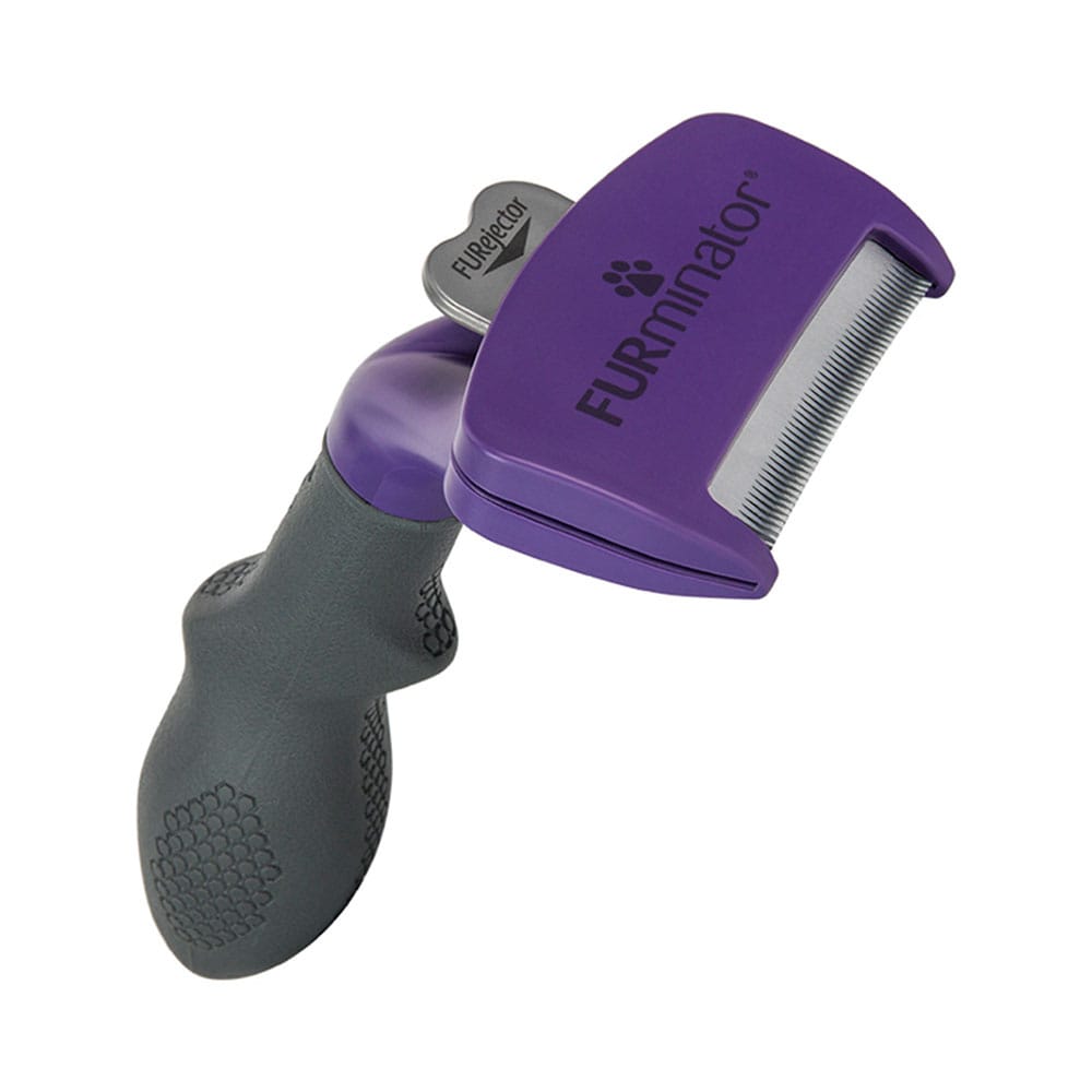 image_6a625baf-c93f-4d78-b21b-396b2552c7ea