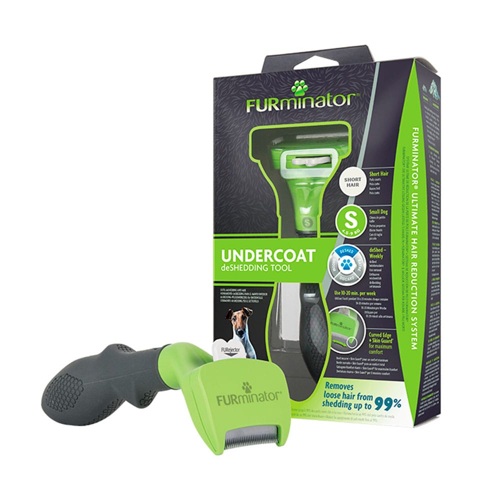 image_877e031f-8a6d-423e-94ec-dead4321e16c