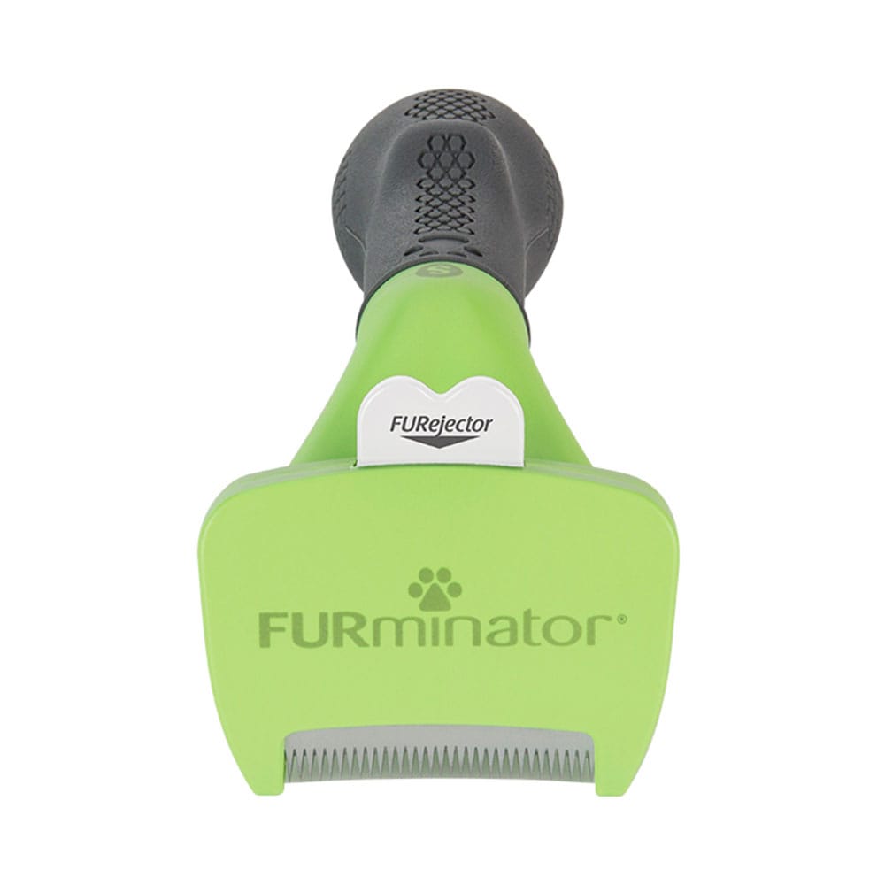 image_28fc5e27-d0f3-4eb8-907f-68245ebe1421