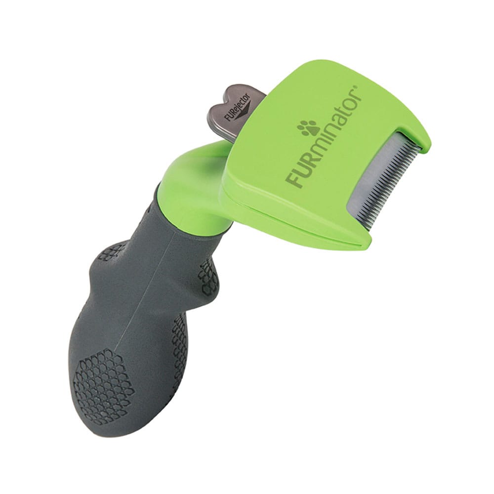 image_e18d5a54-7375-4610-8126-074e199dfd1b