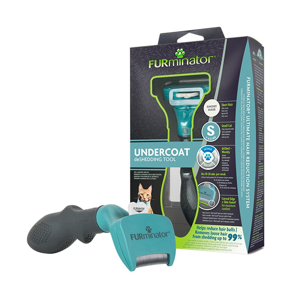 image_0ede756d-93ac-4536-9b71-bf388902e5e7