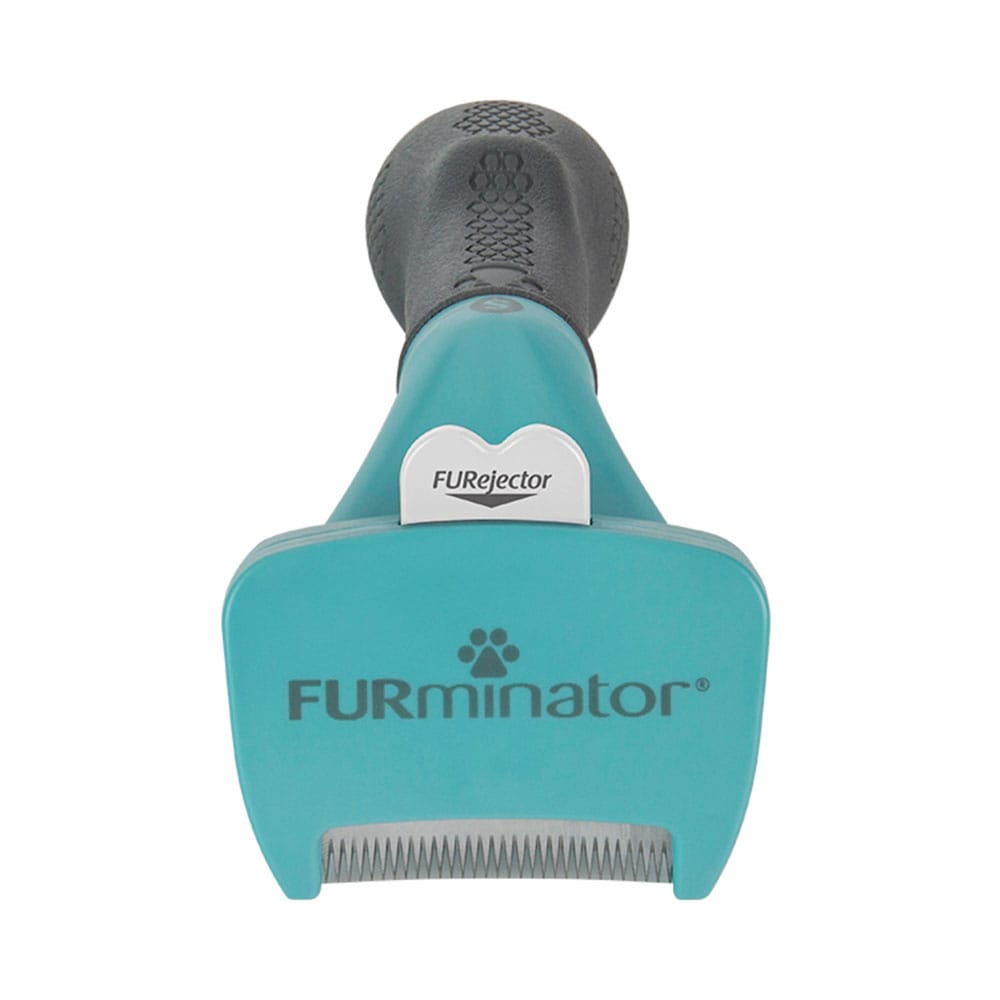 image_16953509-04e3-42a9-9cb4-60c8caac464e