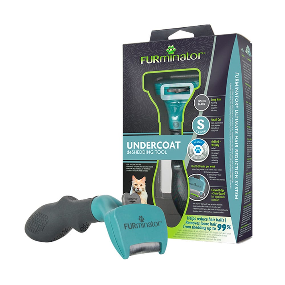 image_9bde41a2-2fe9-4d20-8886-ffc13996dab8