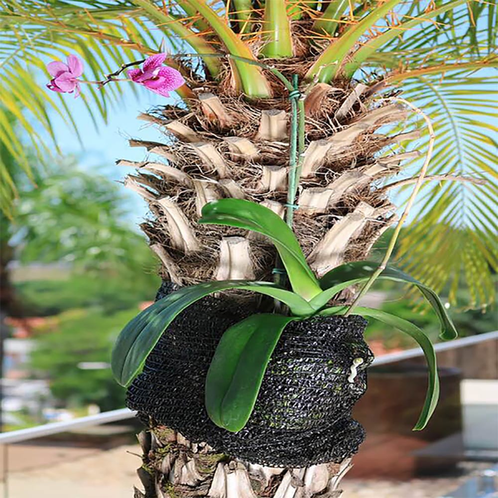 image_e07a9bbc-dc4f-4458-9682-9c788df543ec