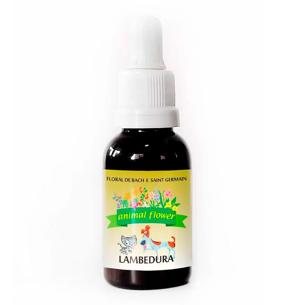 image_d11dc640-12e7-4829-add7-0b0a16cd5534