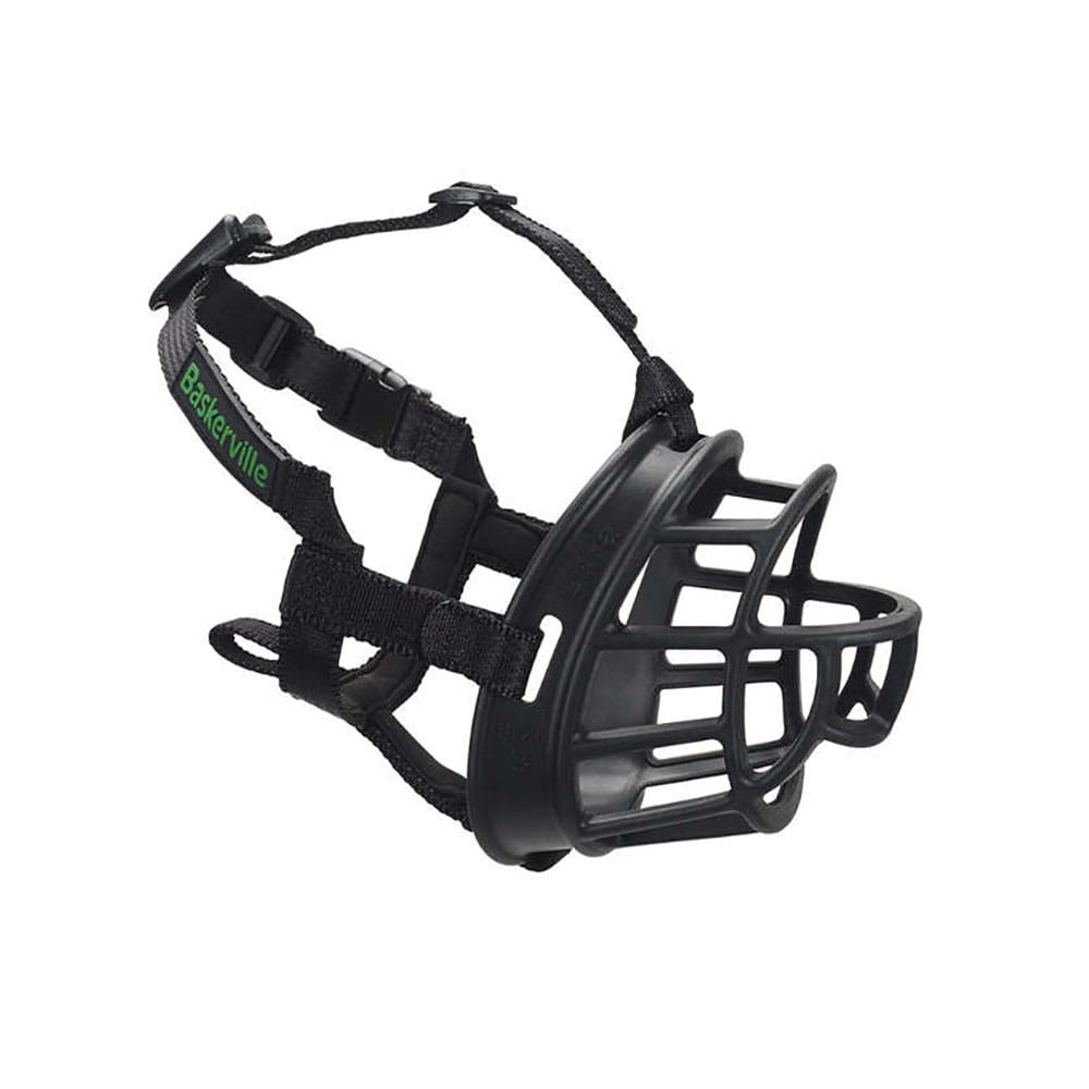 image_4e5cdfe5-c972-4bbe-bf5c-14dde7a5386d