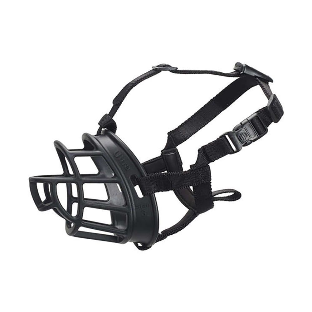 image_41f5297a-5436-499b-af84-1940cf6378ca