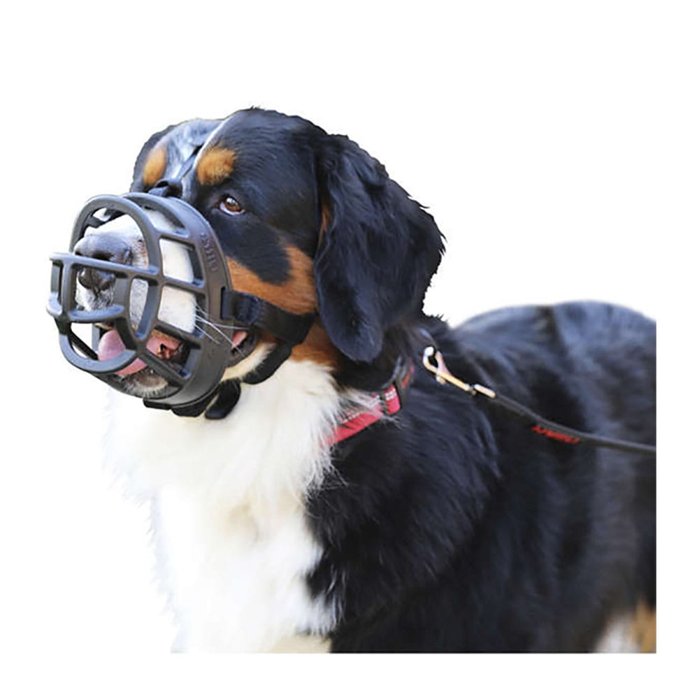 image_db2cba5f-b0bb-4131-82e9-ca638944c5cb