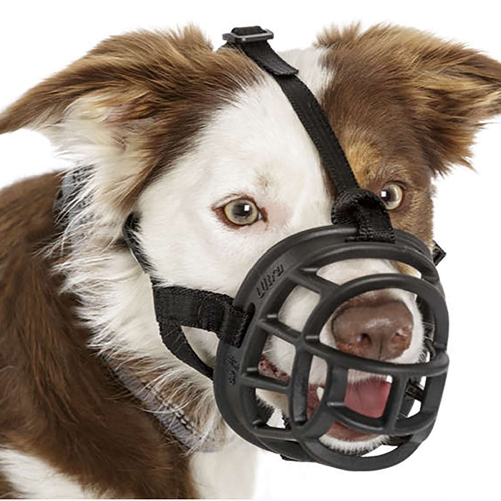 image_8c283209-adda-41cf-b968-038608bd79b3