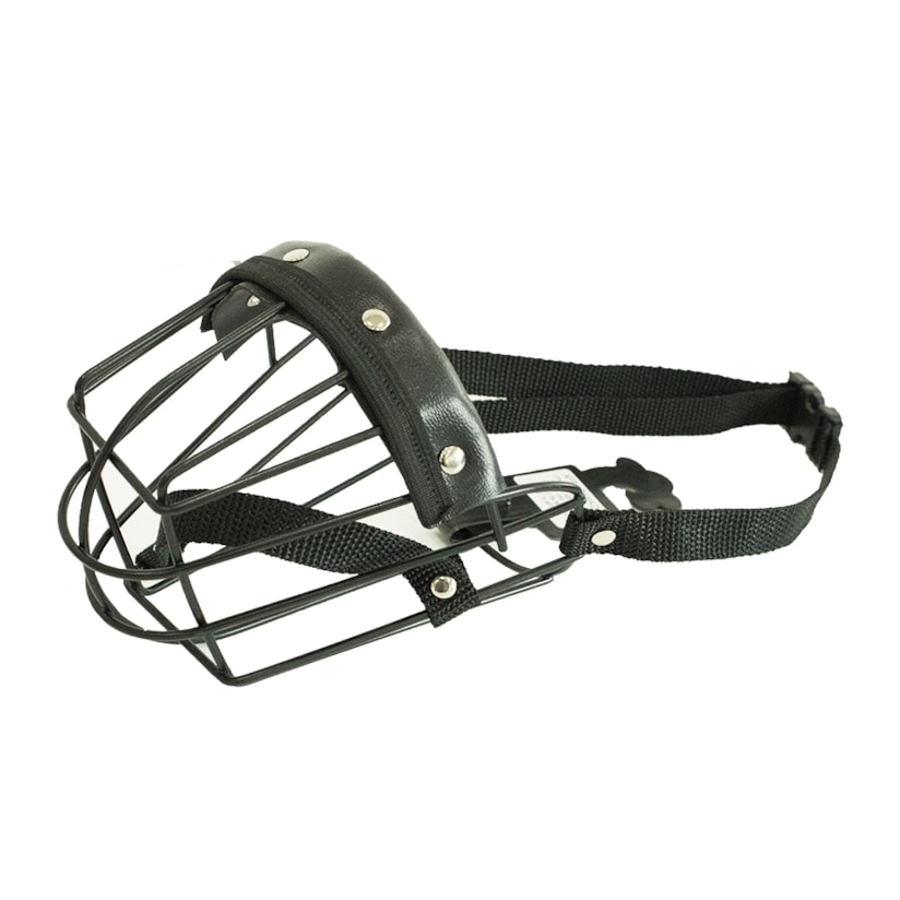 Product main image - 6a4275cf-88d5-4d01-aed6-e349f987197d