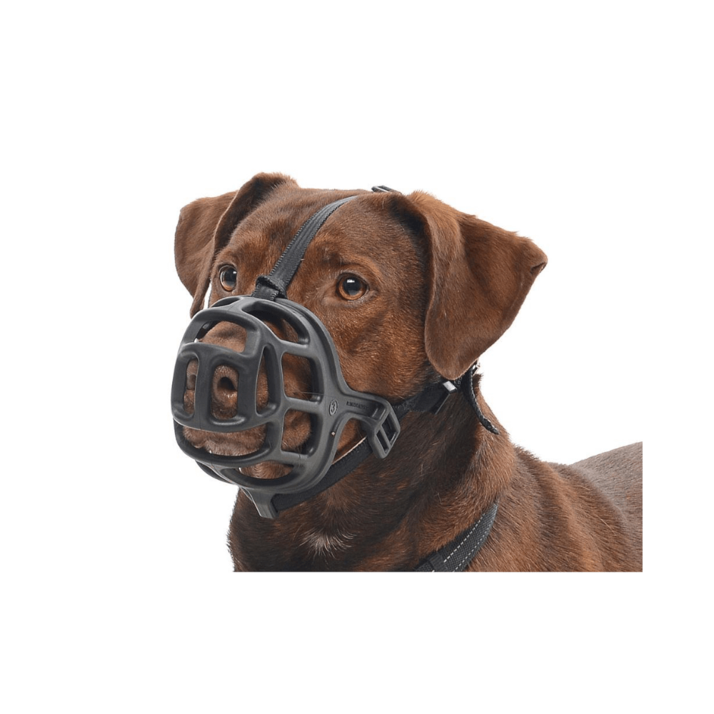 image_42b267cc-10b8-44f0-a1c5-5a9a55057112