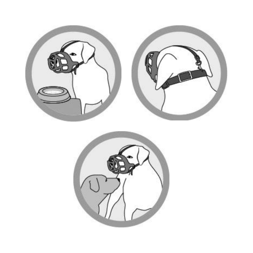 image_72dc4ed6-31c2-4814-b416-8b9060da7ed7