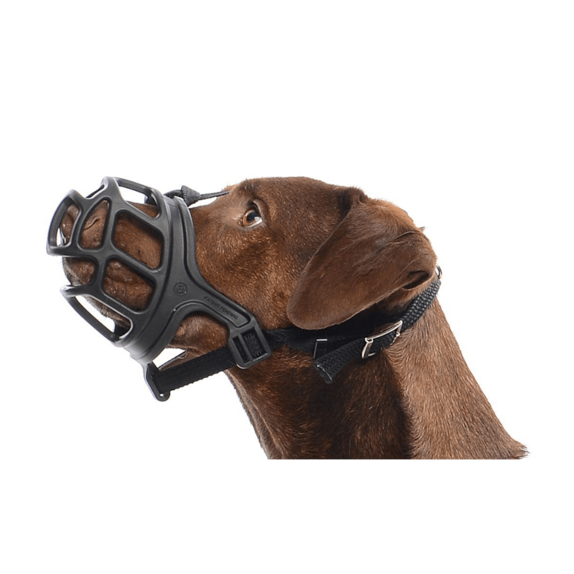 Product main image - a26e1122-db83-4111-a0d5-406f1b635a0d