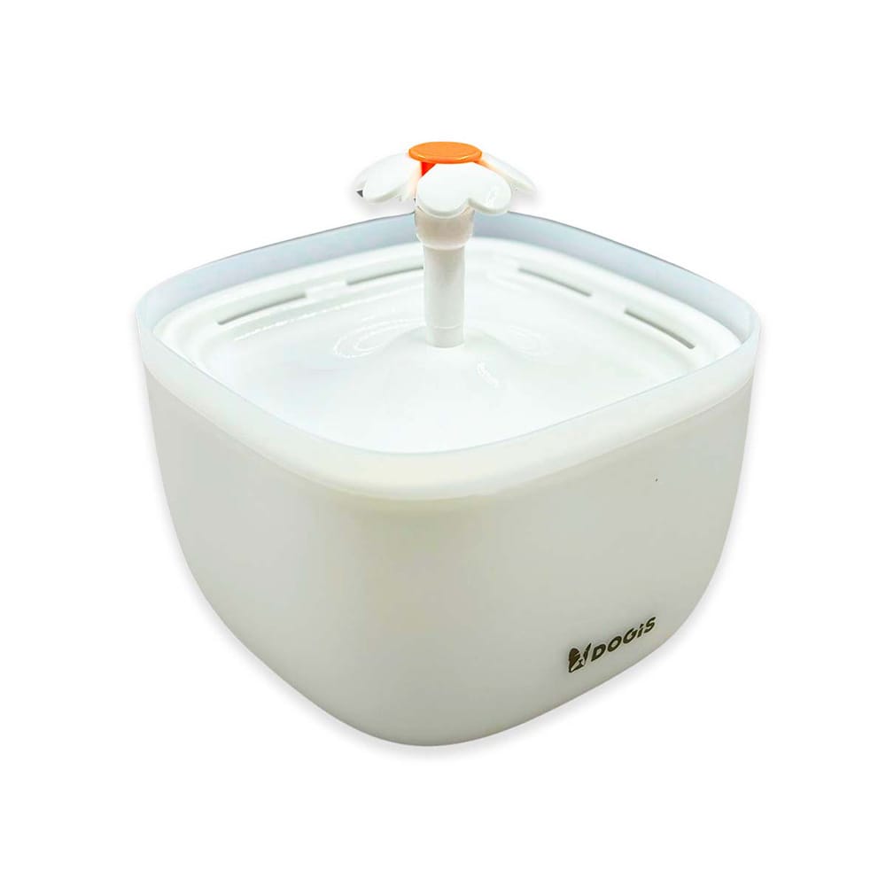 image_cc289f70-671c-4c93-befa-9cbb47369505