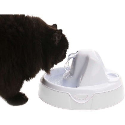 image_2db522e8-13e0-4bf7-96e7-a5c469a445e0