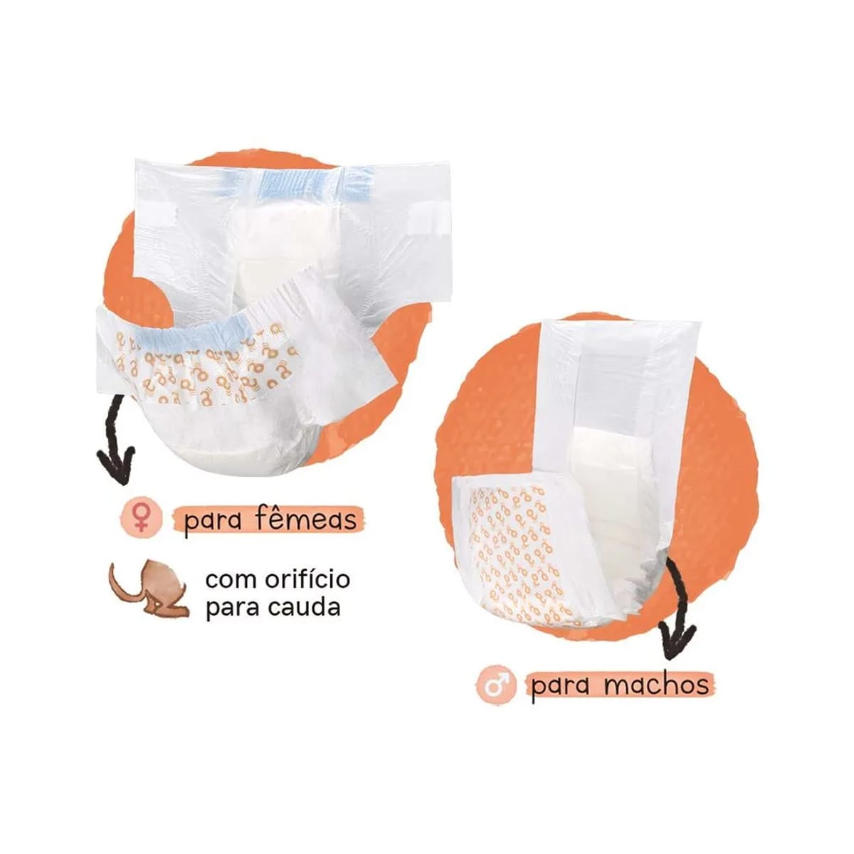 image_9fc4c1c7-14e4-4b1f-9b26-63576b5fccb1