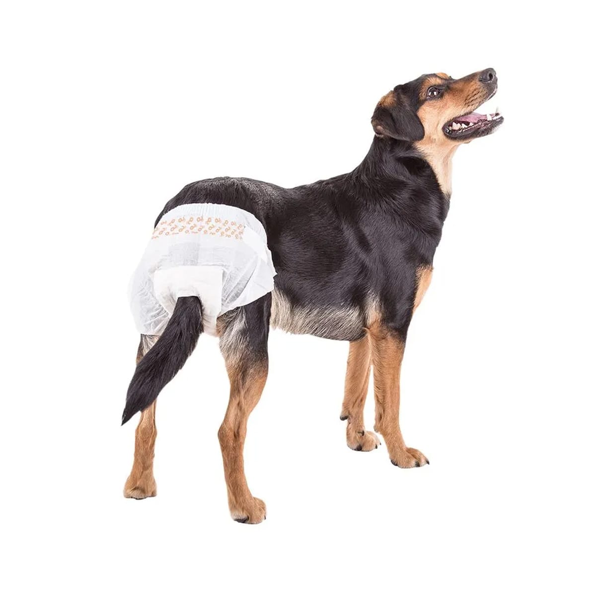 image_6608bb3f-7c3a-4cd5-844f-2e32a1d8c813