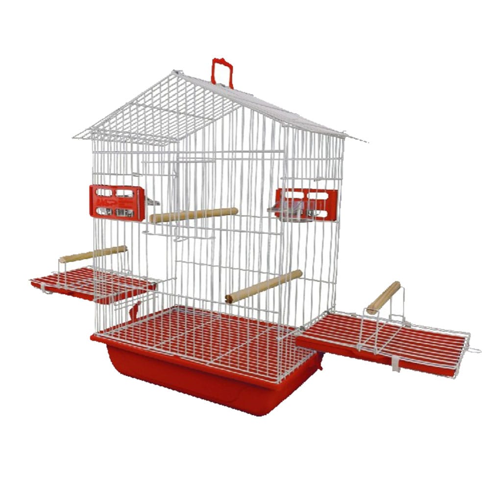 image_d995d73c-ce24-4725-a885-a83c21791086