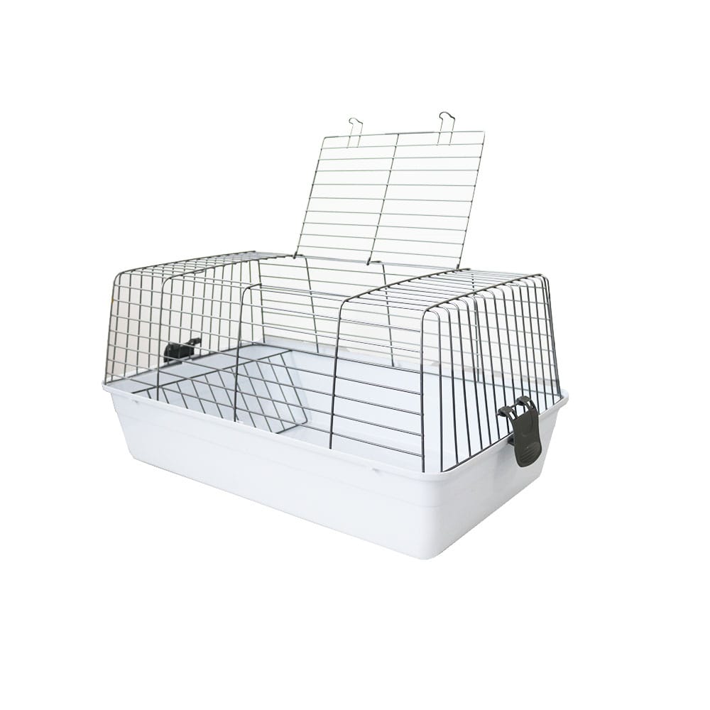 image_5d84b41f-2e81-4086-9386-386f528f08f9