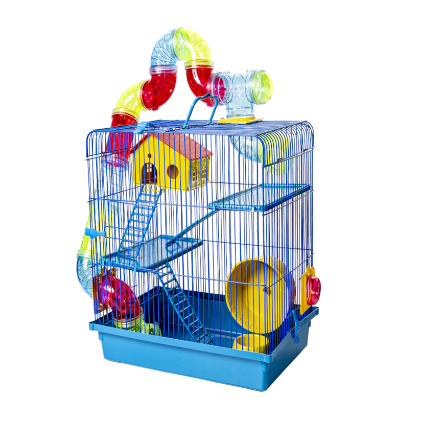 Product main image - 6f2b3f47-97b0-4c76-99e1-c89c9504dbe2