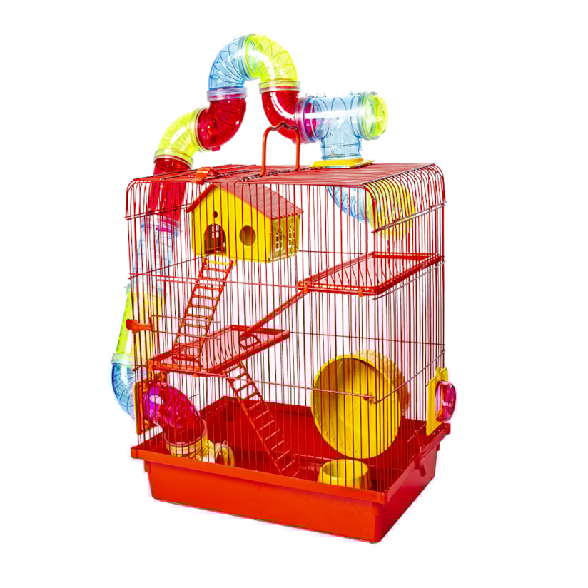 Product main image - de253f03-eaac-4322-ae5a-9f64923bbc4c