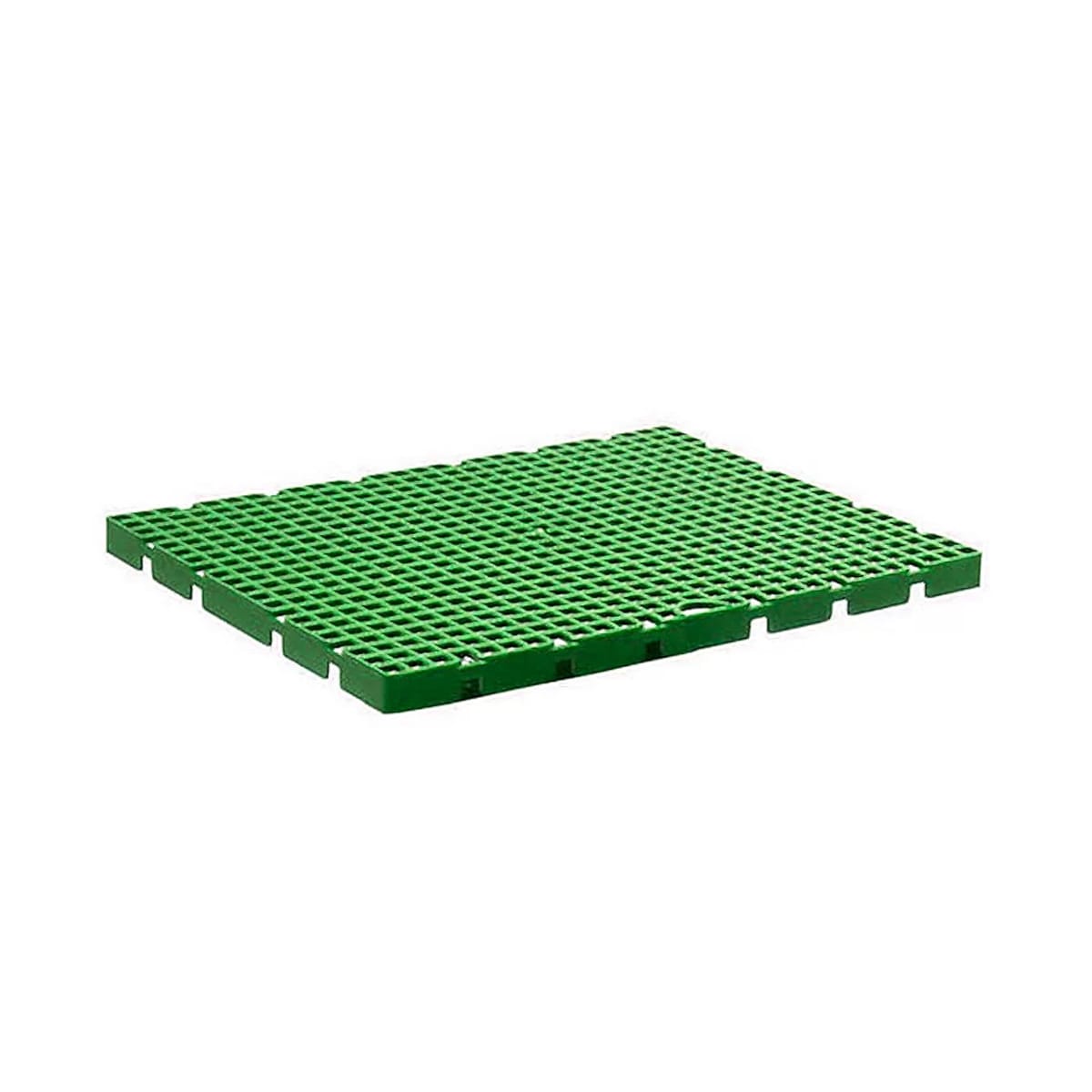 image_a6368105-d008-41e0-8db8-47a828c11296