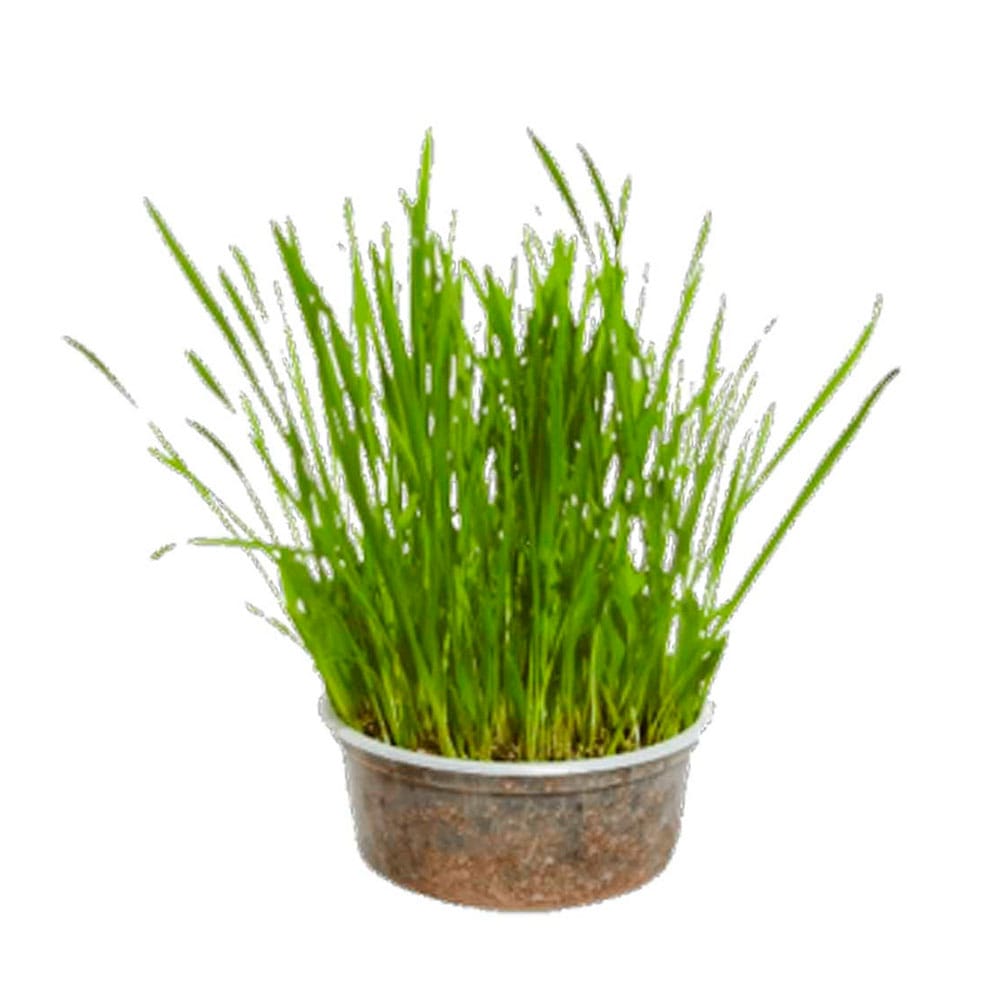 image_0458939f-0df5-4042-a450-6e2cac9e16f1