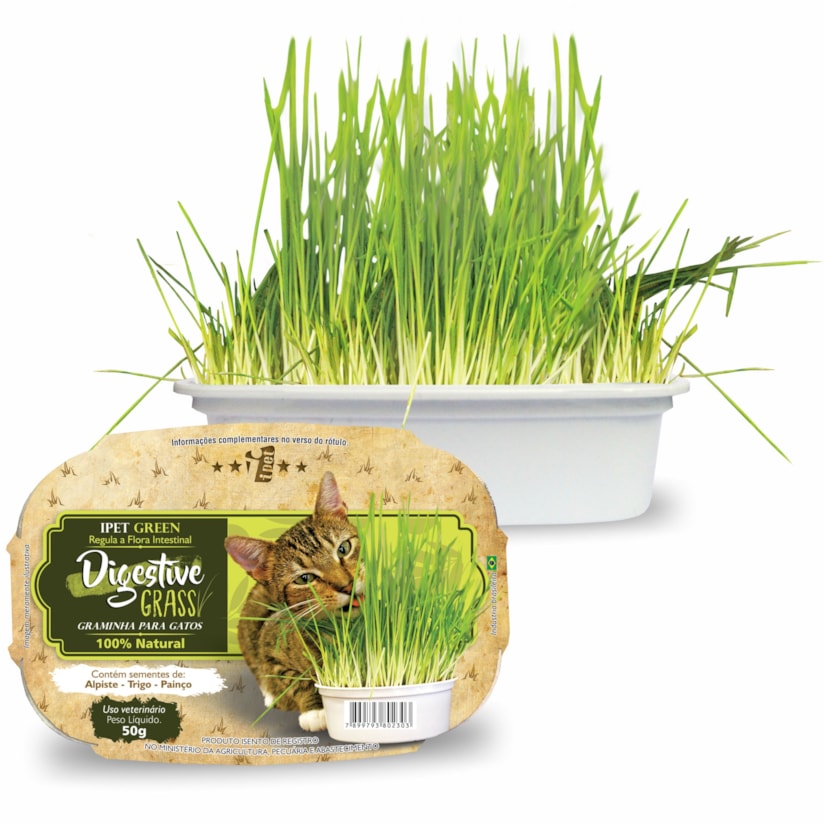 Product main image - a458eec7-97e0-4c68-b52e-0262c66ef233