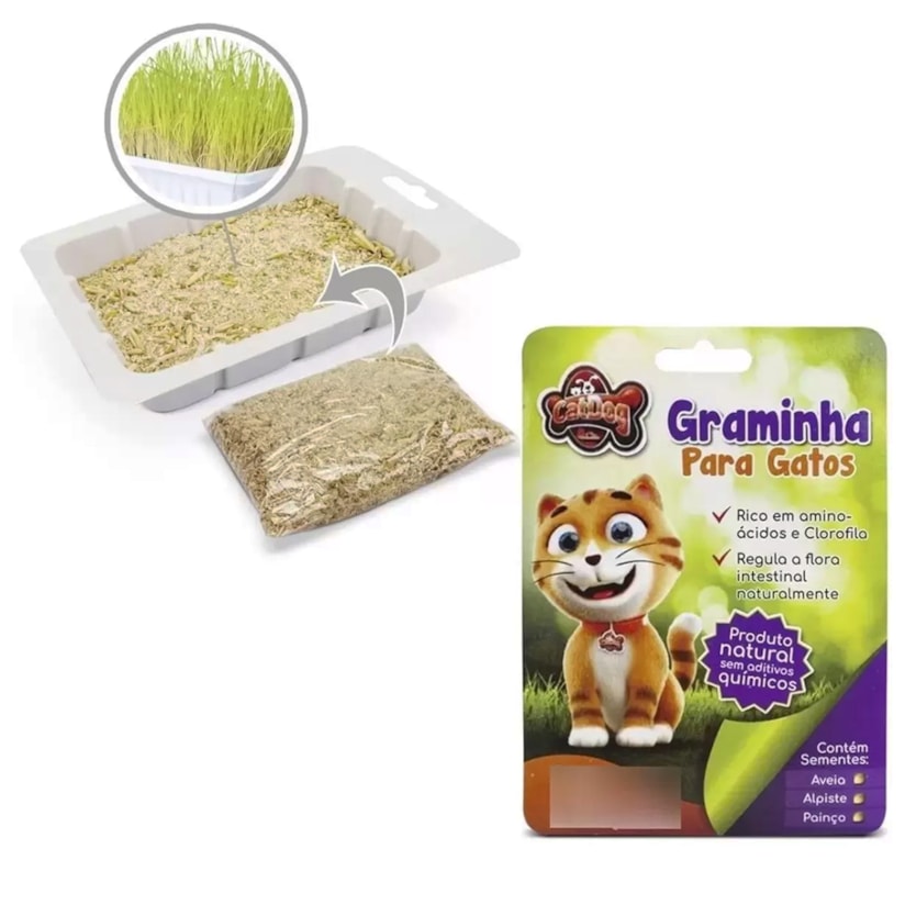 Product main image - 8163e9d8-52ca-4a2f-93d6-1f98bb1bd063