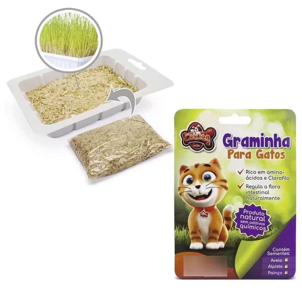 image_86ddb495-f228-4a0f-9524-2794008c8c9c