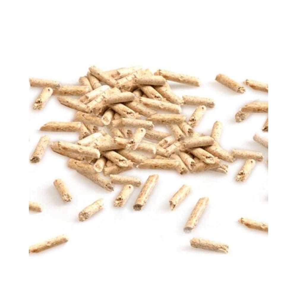 image_b47ef6dc-bc77-4441-a826-7986a41d8504