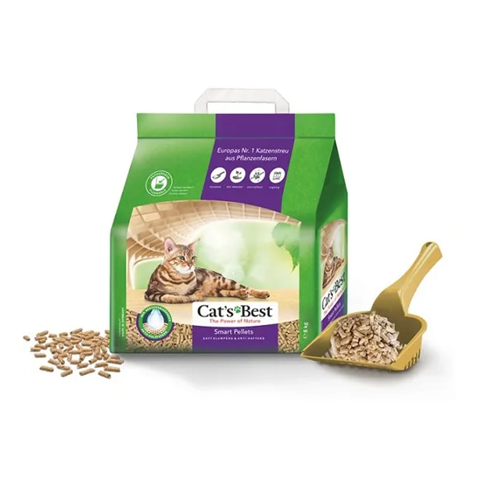 image_79c5e186-fa2d-40e2-9843-dd1d31f901b4